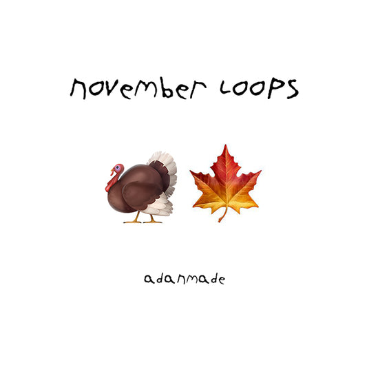 NOVEMBER 2024 (ADANMADE)